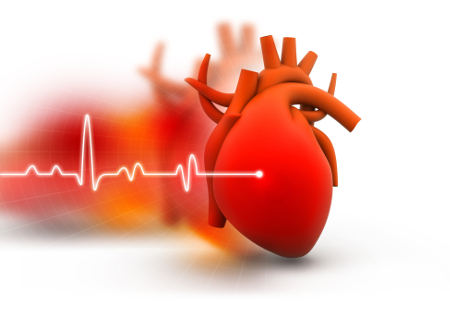 szívritmus befolyásolta az egészséget