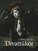 DIVATTÜKÖR