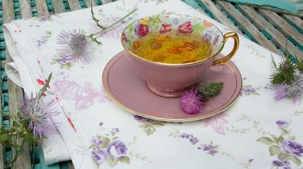 Máriatövis tea