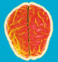 agy implantátum bénulás beszéd agy implantátum bénulás beszéd