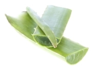 Aloe vera, fogkrém