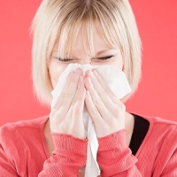 H1N1-vírus, elhízott H1N1-vírus, elhízott