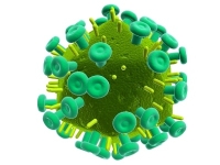 HIV-vírus, őssejtterápia HIV-vírus, őssejtterápia