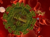 HIV-vírus HIV-vírus