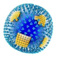 influenza, antitest