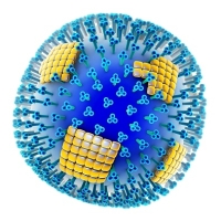 influenza, antitest influenza, antitest