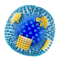 influenza, vírus, immunrendszer