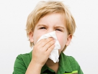 influenza, rhinovírus influenza, rhinovírus