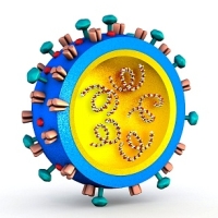 influenzavírusok, fehérjék