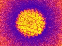 méhnyakrák, HPV-teszt