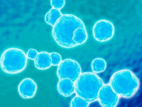 nanotecnológia, gyógyszerrezisztens baktériuomok