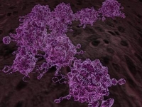 rákos sejt, rák, rizikófaktor