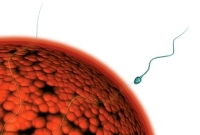 spermabank spermabank