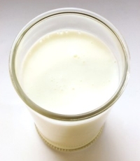 kefir