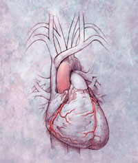 műszív szívátültetés műtét