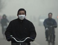 szmog kipufogogaz légszennyezés agykárosodás stressz szmog kipufogogaz légszennyezés agykárosodás stressz