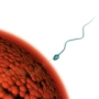 spermabank