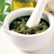 th_hantolt-kendermag-pesto-recept.jpg th_hantolt-kendermag-pesto-recept.jpg